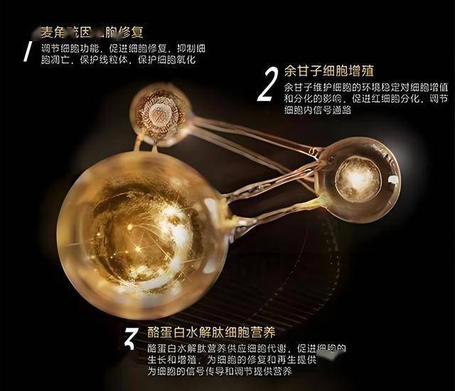 外汇富拓平台怎么样文明新风扑面来 素养提高润无声——石家庄创新实践培育新时代文明风尚